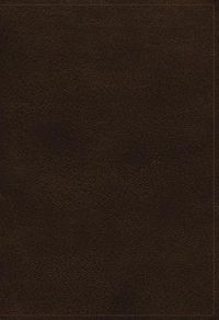 Cover image for The NKJV, Open Bible, Genuine Leather, Brown, Red Letter, Comfort Print: Complete Reference System