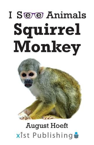 Squirrel Monkey