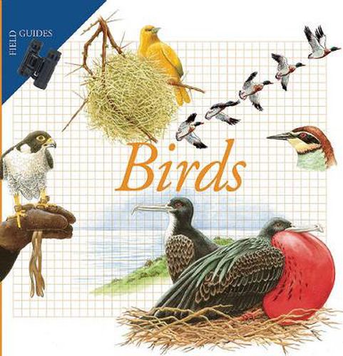Cover image for Birds