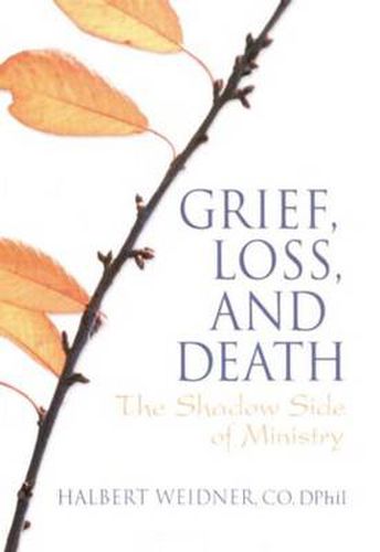 Cover image for Grief, Loss, and Death: The Shadow Side of Ministry