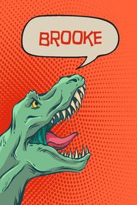 Cover image for Brooke