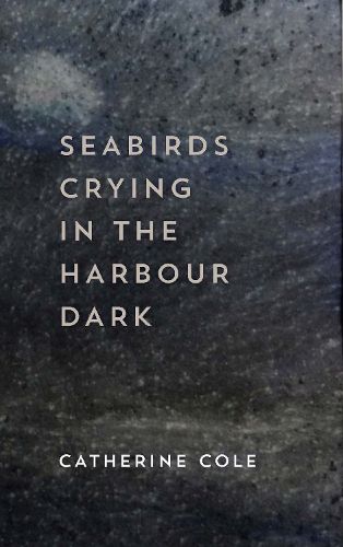 Cover image for Seabirds Crying in the Harbour Dark
