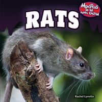 Cover image for Rats