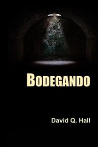 Cover image for Bodegando