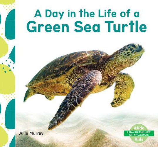 Cover image for Day in the Life of a Green Sea Turtle