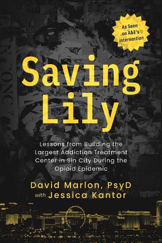 Cover image for Saving Lily