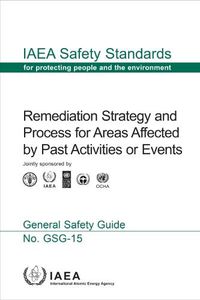 Cover image for Remediation Strategy and Process for Areas Affected by Past Activities or Events