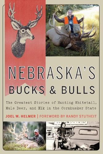 Cover image for Nebraska's Bucks and Bulls: The Greatest Stories of Hunting Whitetail, Mule Deer, and Elk in the Cornhusker State