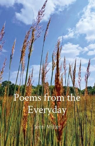 Cover image for Poems from the Everyday