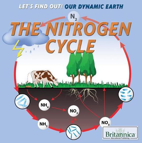 Cover image for The Nitrogen Cycle