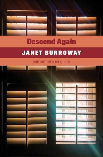 Cover image for Descend Again