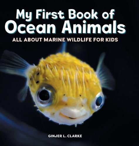 Cover image for My First Book of Ocean Animals: All about Marine Wildlife for Kids