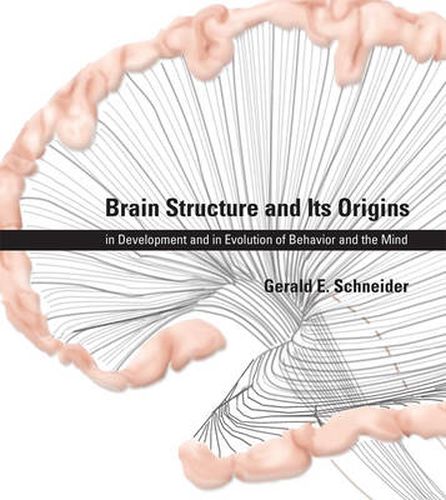 Cover image for Brain Structure and Its Origins: in Development and in Evolution of Behavior and the Mind