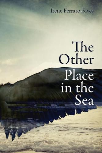 Cover image for The Other Place in the Sea