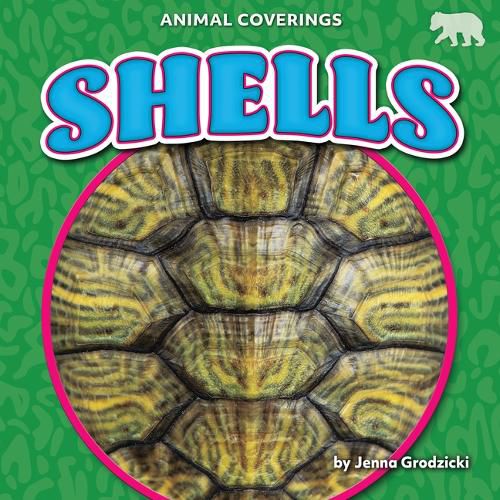 Cover image for Shells