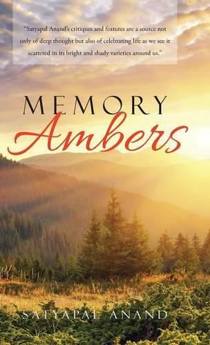 Cover image for Memory Ambers