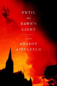 Cover image for Until the Dawn's Light: A Novel