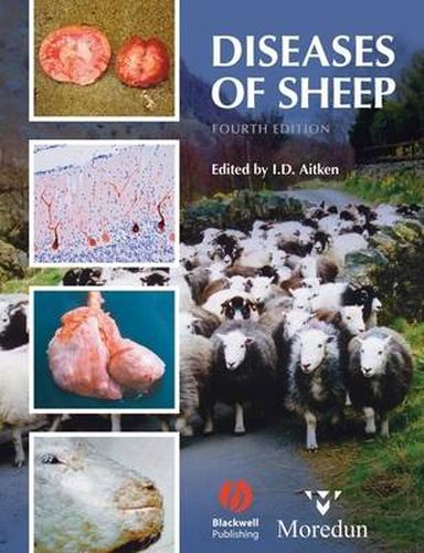 Cover image for Diseases of Sheep