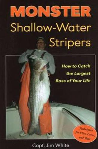 Cover image for Monster Shallow-water Stripes