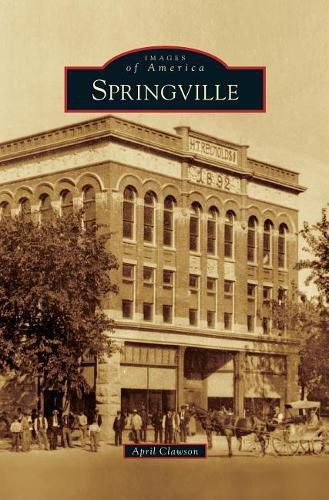 Cover image for Springville