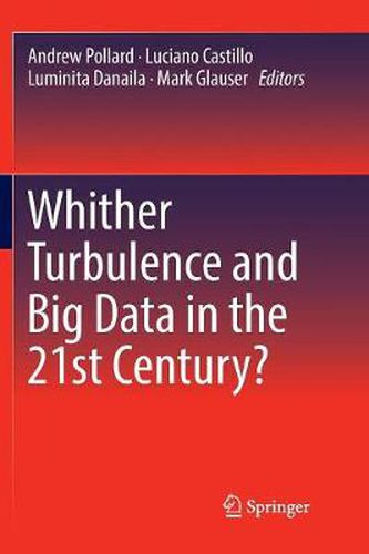 Cover image for Whither Turbulence and Big Data in the 21st Century?