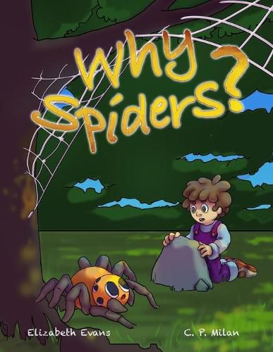 Cover image for Why Spiders?: Question your fears to enhance understanding...