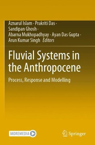 Cover image for Fluvial Systems in the Anthropocene