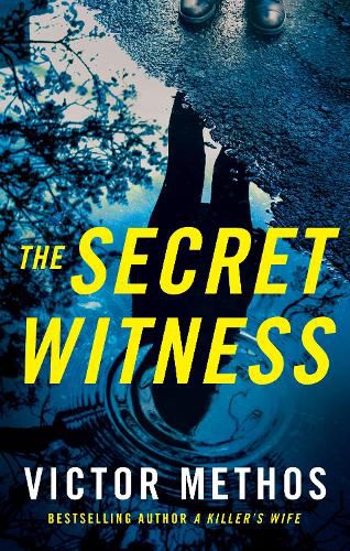 Cover image for The Secret Witness