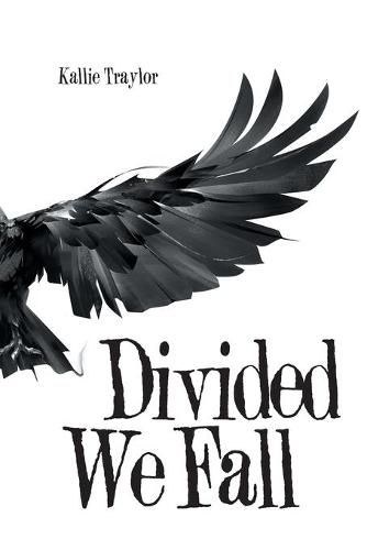 Cover image for Divided We Fall