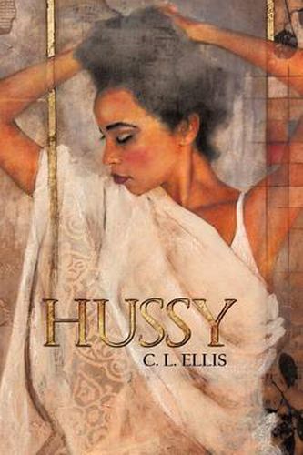 Cover image for Hussy