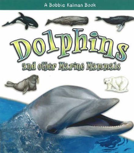 Cover image for Dolphins and other Marine Mammals