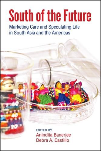 Cover image for South of the Future: Marketing Care and Speculating Life in South Asia and the Americas