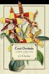 Cover image for Cool Orchids (Trade): And How to Grow Them: With a Descriptive List of All the Best Species in Cultivation