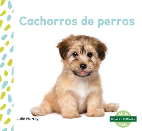 Cover image for Cachorros De Perros/ Puppies