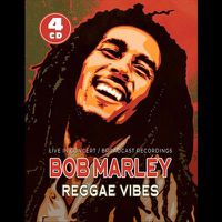 Cover image for Reggae Vibes