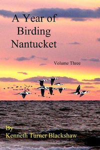 Cover image for A Year of Birding Nantucket: Volume Three