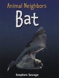 Cover image for Bat