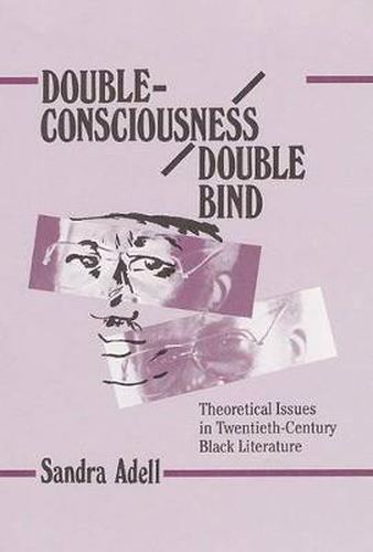 Cover image for Double-Consciousness/Double Bind: Theoretical Issues in Twentieth-Century Black Literature