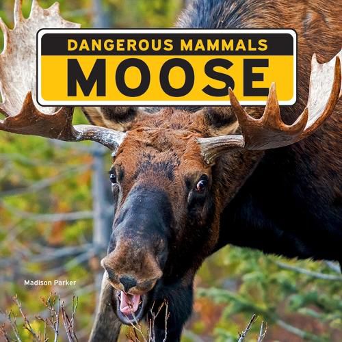 Cover image for Moose