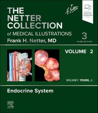 Cover image for The Netter Collection of Medical Illustrations: Endocrine System, Volume 2