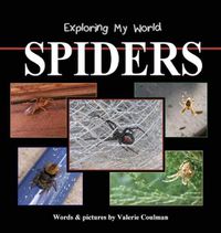 Cover image for Exploring My World: Spiders