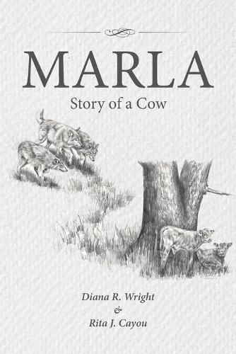 Cover image for Marla