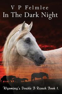 Cover image for In The Dark Night