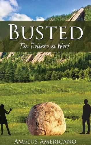 Cover image for Busted (Tax Dollars at Work)