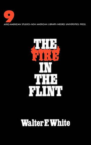 Cover image for The Fire in the Flint