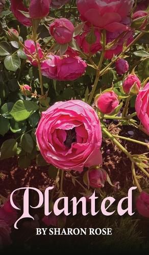 Cover image for Planted