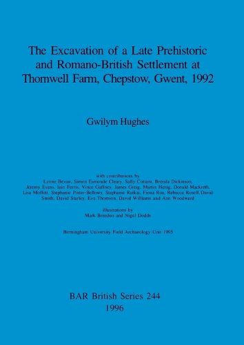 Cover image for The excavation of a late prehistoric and Romano_British settlement at Thornwell Farm, Chepstow, Gwent, 1992