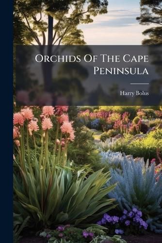 Cover image for Orchids Of The Cape Peninsula