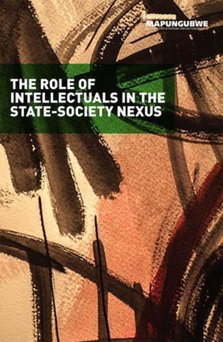 Cover image for The role of Intellectuals in the state-society nexus