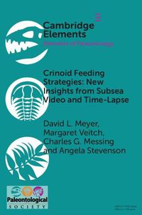 Cover image for Crinoid Feeding Strategies: New Insights From Subsea Video And Time-Lapse